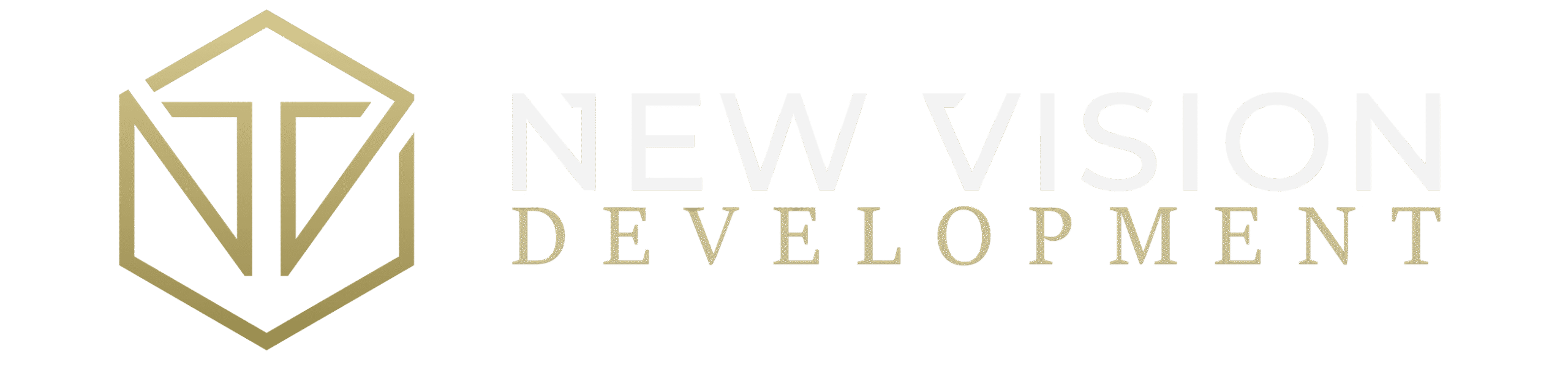 Deweloper - New Vision Development